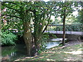 Bridge over the River Bourne in Chertsey