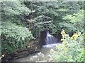 Waterfall into the Rhondda, Hopkinstown