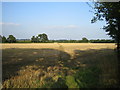 Footpath to Steeple Claydon