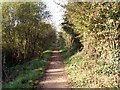 Newcut canal old tow Path