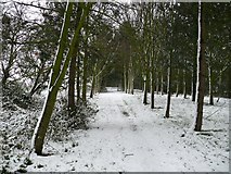 TL0763 : Winter Bridlepath, Brook End. by Tony