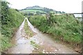 SX7866 : Farm track heading towards Torcorn Hill by Duncan Grey
