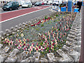 Weymouth - Impromptu  Memorial