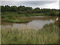 Pool near Hanson brickworks, Merry Lees