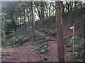 Permissive Footpath up to the B3178 from Cycleway 2