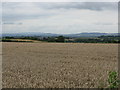 Rolling countryside near Steen