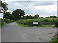 Maize field near The Leasowe