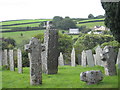 Ancient crosses in St Neot churchyard