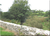 SH4679 : Afon Erddreiniog from the bridge below Bodowen Farm by Eric Jones