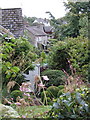 Ashprington flowers and houses