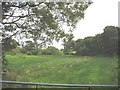 Damp pasture land and coppices near the Flat Covert