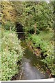 Stream at Noak Bridge