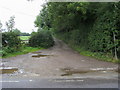 Footpath and drive up to Copes Farm