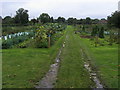 Hughenden Parish allotments