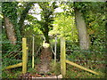 Footbridge, St Neot, Cornwall