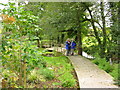 Gardens, St. Neot, Cornwall