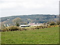 Rhiwiau Farm with Mynydd Llwydiarth in the background