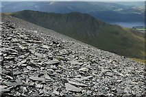 NY2529 : The upper slopes of Skiddaw by Philip Halling