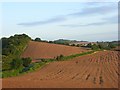 Farmland, Saunderton