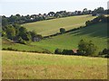 Farmland, Saunderton