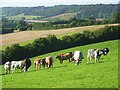 Farmland, Loosley Row