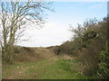 Public footpath to Rhos and Hafoty