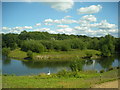 Newdigate Brickworks Nature Reserve