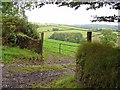 Field near Blaenachddu, East Cilrhedyn