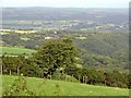 Field boundary on the slopes of Pen-y-Garn, Cenarth