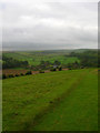 Saddlescombe from North Hill