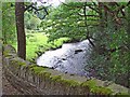 Bridge over Afon Dulas: Cwm Cych