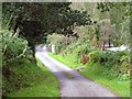 Lane near Cwm-ffynnonau