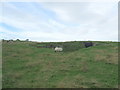 Disused quarry with occupants