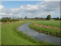 Looking towards Sandbanks from the side of a ditch in Goodnestone