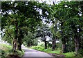 The Yeovil Road near Darvole Farm