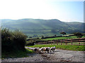 Track to Abernac Farm