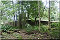 Craigmoston bridge from Droich wood