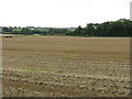 Large field near Prickley Farm