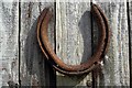 Lucky Horseshoe