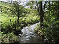 Hallington Burn