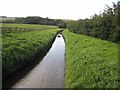 Leat near Bingfield