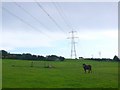 Countryside near Chickerel