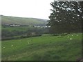 Glynllan from the track to Gelli-fud Farm