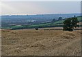 View from Clawson Hill