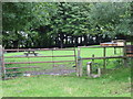 Footpath through a paddock near Broadstreet Cottage