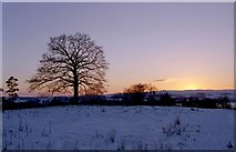 NS4276 : Winter sunset over snow-covered meadow by Lairich Rig