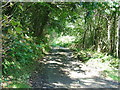 Track from Pen-gaer to Fro-wen, Llanboidy