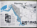 Info board at Horning Staithe