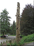 SK1789 : Carved tree trunk by michael ely