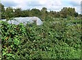 Allotments along the A47